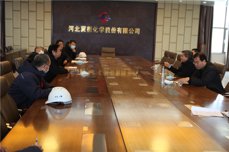 衡水高新区王建明书记到我公司调研